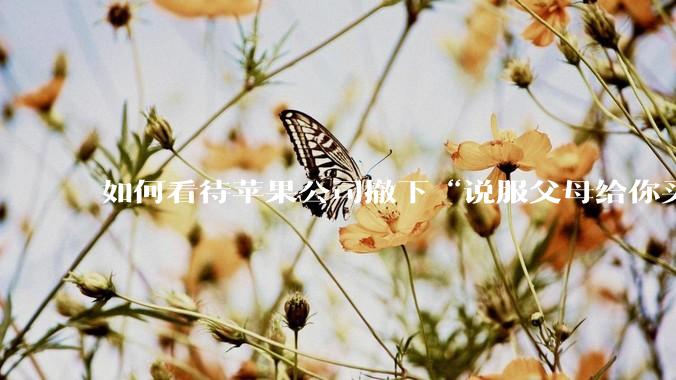 如何看待苹果公司撤下“说服父母给你买一台 Mac”的广告***，上线仅一天？